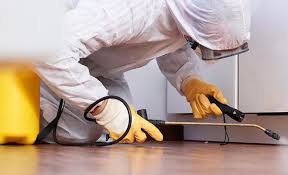 Emergency Pest Control in Imlay City, MI